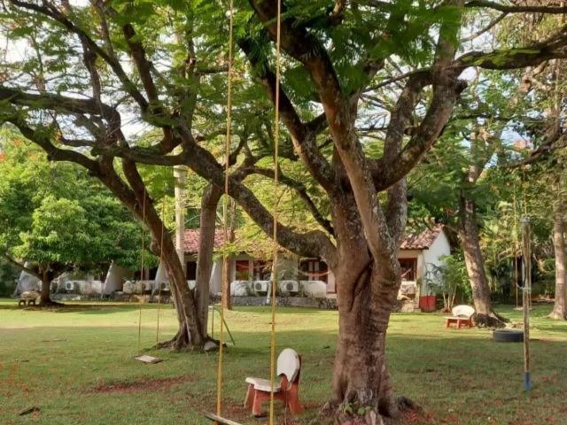 Hosteria Real Hotel ซานตาเฟเดอันตีโอเกีย ภายนอก รูปภาพ